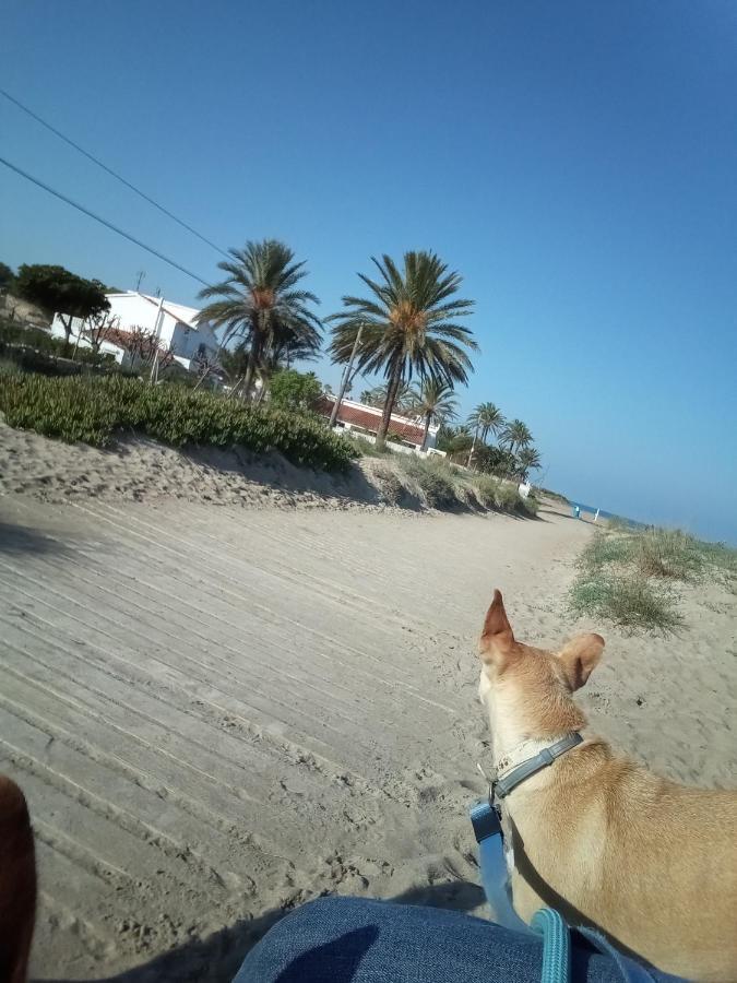 El Rincon De Denia - Paraiso Del Sol Ngoại thất bức ảnh